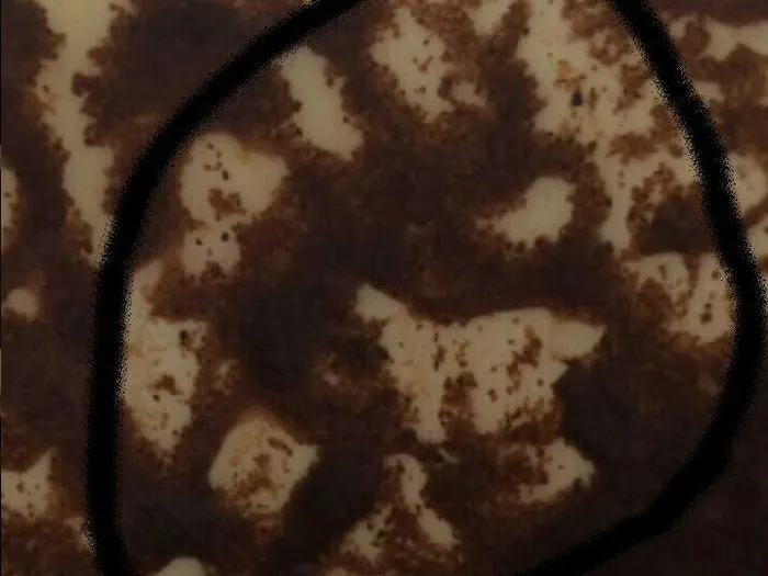 Гадание на кофейной гуще - запись на прием в Великих